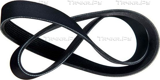 Приводной ремень поликлиновой Zentparts для Mazda 5 I (CR) 2005-2010. Артикул Z23482