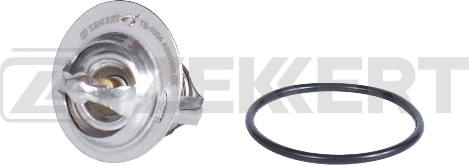 Термостат Zekkert. Артикул TE-1004