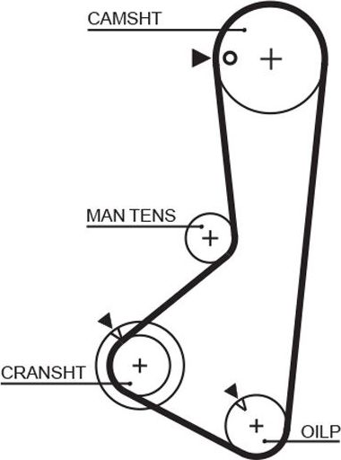 Ремень ГРМ Gates (HNBR (Hydrierter Acryl-Nitril-Butadien-Kautschuk)). Артикул 5372XS