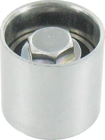Направляющий (ведущий) ролик ремня ГРМ SKF. Артикул VKM 21220