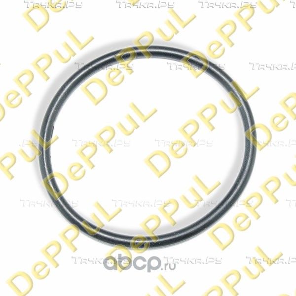 Кольцо уплотнительное дроссельной заслонки (Deppul). Артикул DEBZ0299