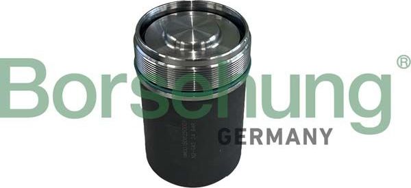 гидрокомпенсатор Borsehung. Артикул B10924