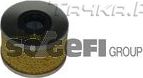 Топливный фильтр Fram для Renault Laguna I 1997-2001. Артикул C5940