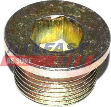 Сливная пробка масляного поддона двигателя Fast. Артикул FT94717