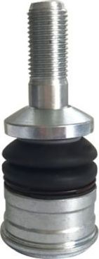 Шаровая опора CTR. Артикул CB0685