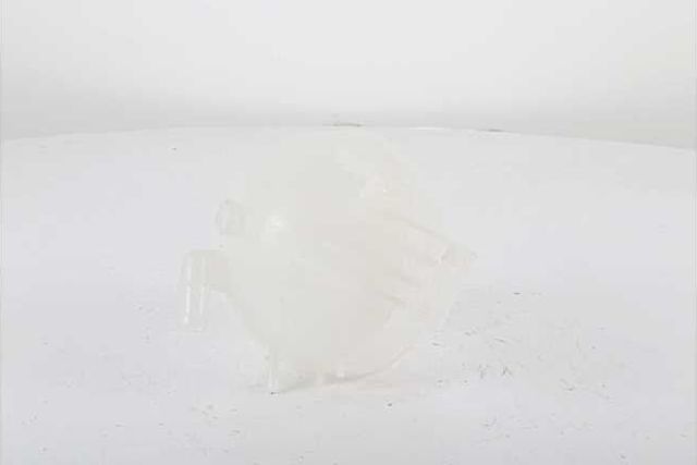 Расширительный бачок BSG. Артикул BSG 60-551-002