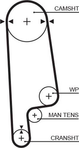 Ремень ГРМ Gates PowerGrip® для Honda Integra I 1985-1989. Артикул 5084XS