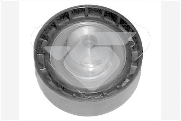 Натяжной ролик (натяжитель) ремня ГРМ Hutchinson. Артикул HTG 124