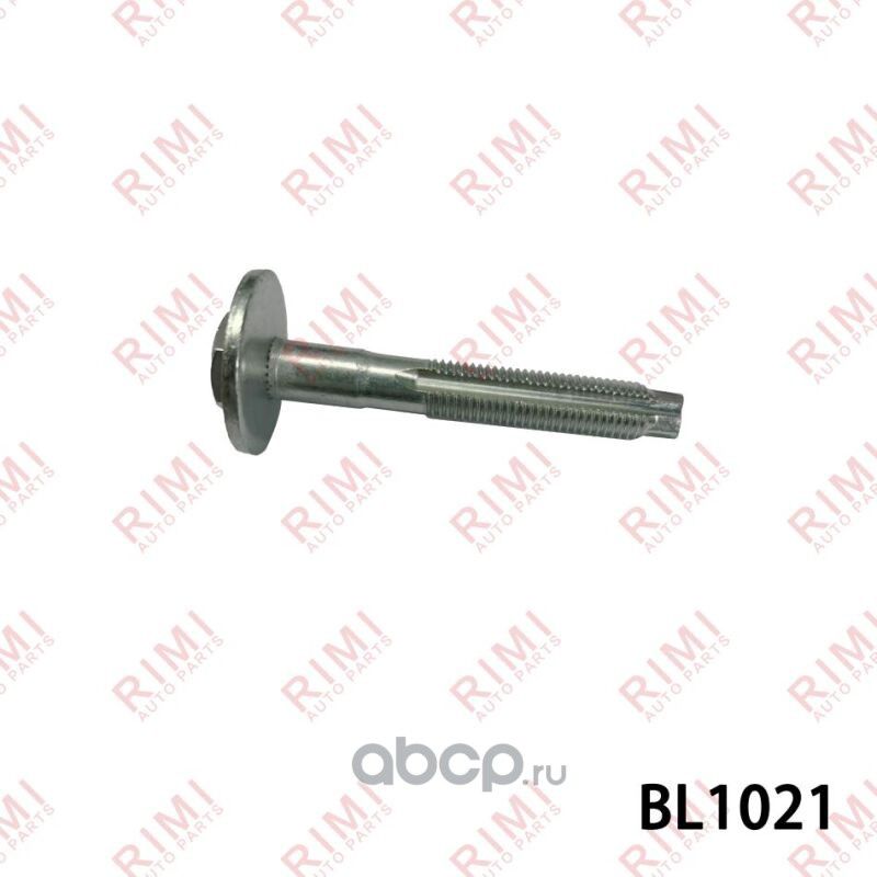 Эксентриковый болт VAG A1 (8X1, 8XK) 2.0 TFSI quattro 2012-2012 (Rimi). Артикул BL1020