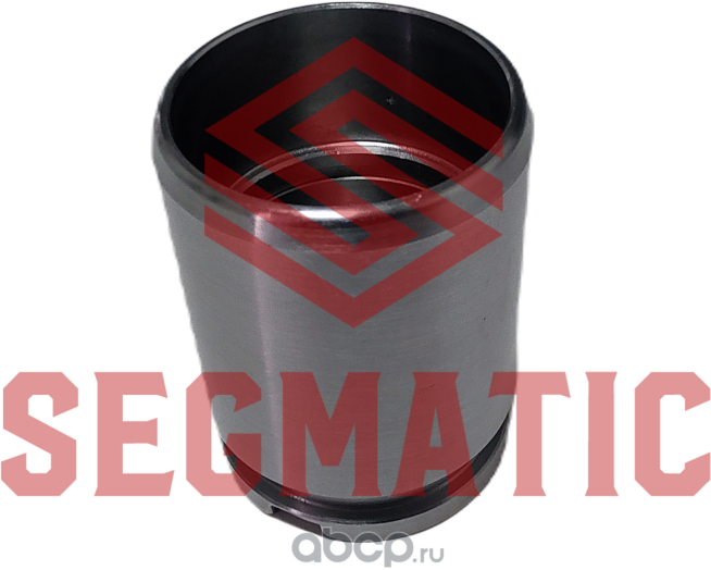 Поршень суппорта VAG  PEUGEOT 308  607   FORD (Segmatic). Артикул SG500001