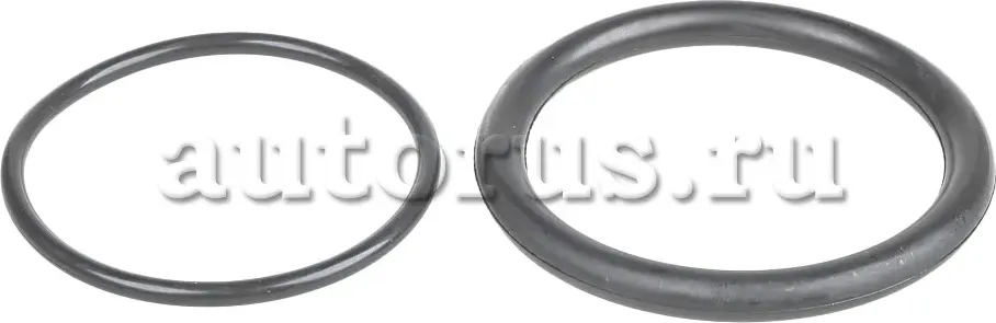 Комплектпрокладок дросельной заслонки (2шт) RENAULT/LADA Largus 16кл GANZ GIE114 Ganz. Артикул GIE11407