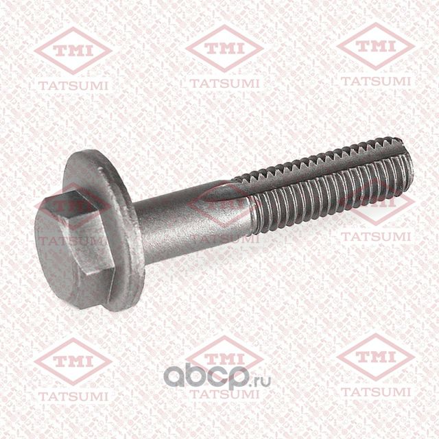 БОЛТ-ЭКСЦЕНТРИК (Tatsumi). Артикул TJA1051 