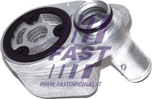 Радиатор масляный (маслоохладитель) для двигателя Fast для IVECO Daily III 2002-2007. Артикул FT55291