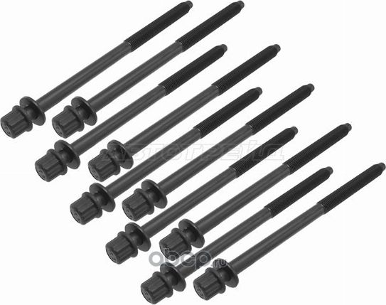 БОЛТ ГБЦ (КОМПЛЕКТ) HONDA K24Z4/K24Z3/K24Z2/R16A1/R18A1/R18A2/R20A1/R20A3 (SAT). Артикул ST1170070 