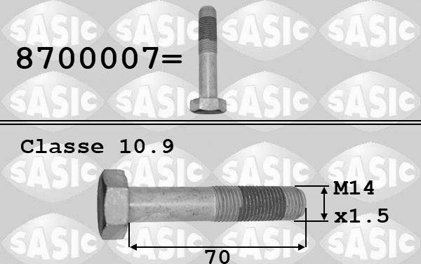 Винт коленчатого вала Citroen Peugeot Sasic. Артикул 8700007