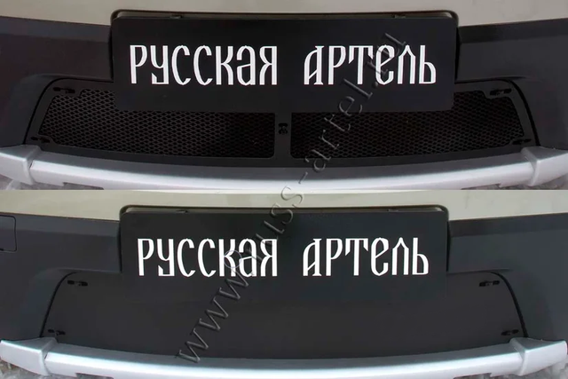 Защитная сетка и заглушка Русская Артель решетки переднего бампера для Renault Sandero Stepway I 2009-2014. Артикул SRR-134052