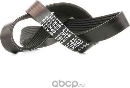 Ремень приводной поликлиновой 6PK1113 DONGIL Dongil. Артикул 6PK1113