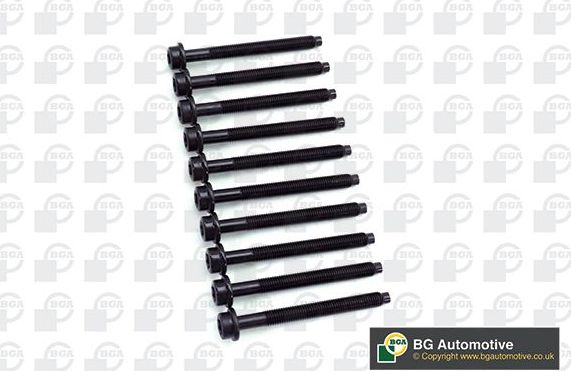 Комплект болтов ГБЦ BGA для Ford Tourneo Connect I 2002-2013. Артикул BK6384