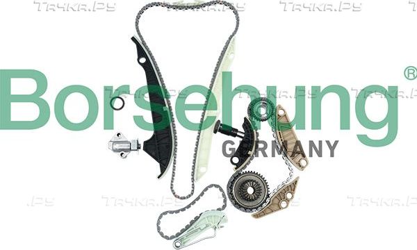 Цепь ГРМ Borsehung для Volkswagen Transporter T5 2011-2015. Артикул B19209