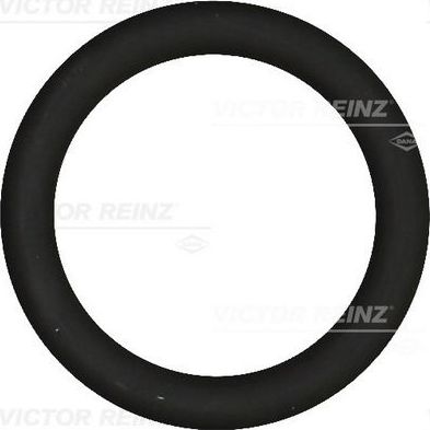 Прокладка впускного коллектора Victor Reinz для Citroen C3 I 2002-2009. Артикул 40-76919-00