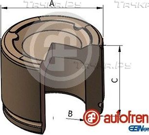 Поршень тормозного суппорта Autofren Seinsa (сталь). Артикул D025466