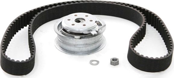 Ремень ГРМ с роликами (комплект) VAG. Артикул 06A198119D