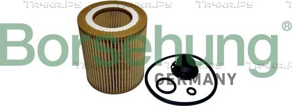 Масляный фильтр Borsehung для BMW X1 I (E84) 2011-2015. Артикул B10439