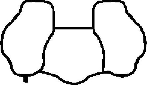 Прокладка впускного коллектора BGA. Артикул MG8537