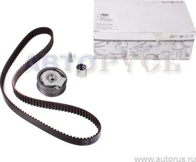 Ремень ГРМ с роликами (комплект) VAG. Артикул 06F198119A