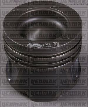 Поршень Yenmak для Renault Clio III 2005-2014. Артикул 31-04181-000