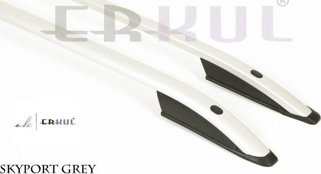 Рейлинги продольные Skyport для Renault Trafic длинная база 2015-2019 СЕРЕБРИСТЫЕ. Артикул 18.SKP.02.15.US.G