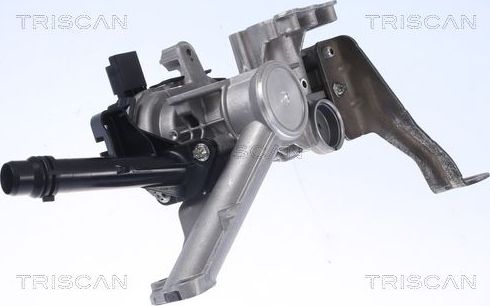 Клапан EGR (рециркуляции выхлопных газов) Triscan. Артикул 8813 28103