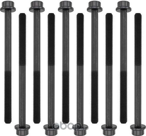 Комплект болтов ГБЦ (Zikmar). Артикул Z16569R