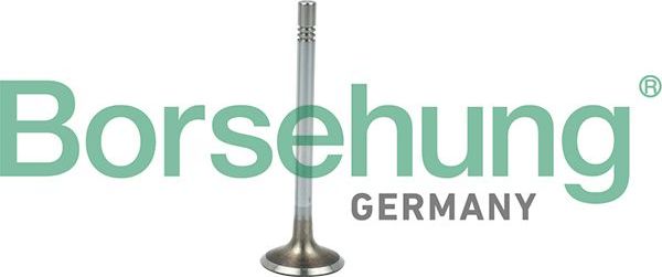 Впускной клапан Borsehung. Артикул B19021