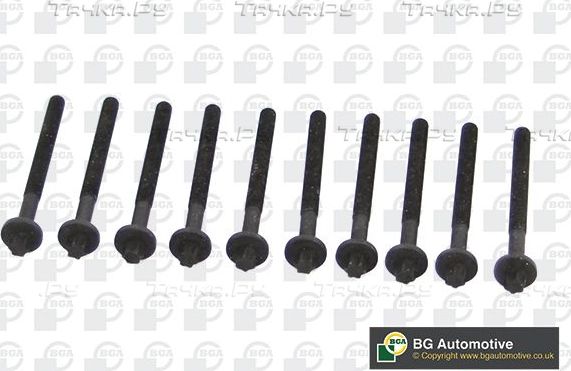 Комплект болтов ГБЦ BGA для Renault Kangoo I 1997-2009. Артикул BK4316