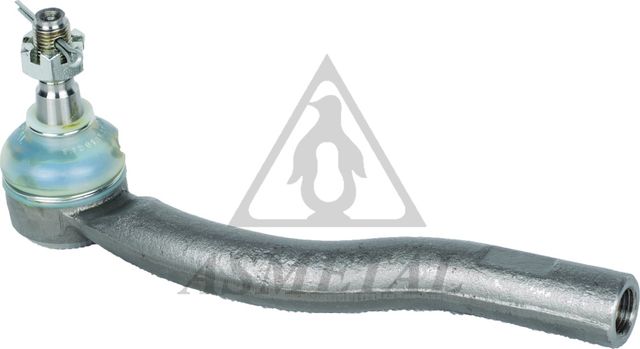 Наконечник рулевой тяги Asmetal. Артикул 17TY1010