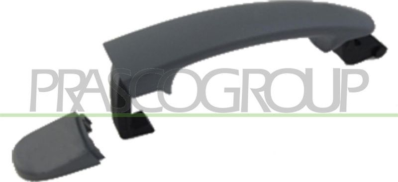 Ручка двери Prasco. Артикул VG8078004