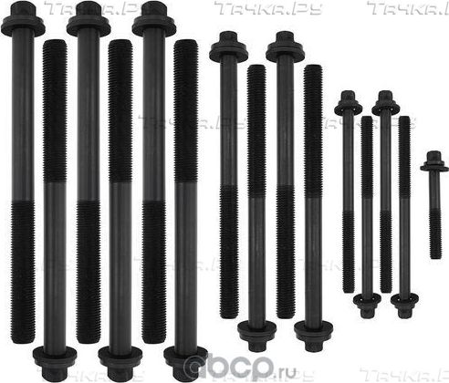 КОМПЛЕКТ БОЛТОВ ГБЦ CITROEN, FIAT, IVECO, PEUGEOT 3.0 HDI (F1CE0441A, F1CE3481N, (Zikmar). Артикул Z16600R