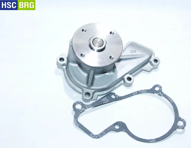 Помпа водяная (Hscbrg). Артикул 672A