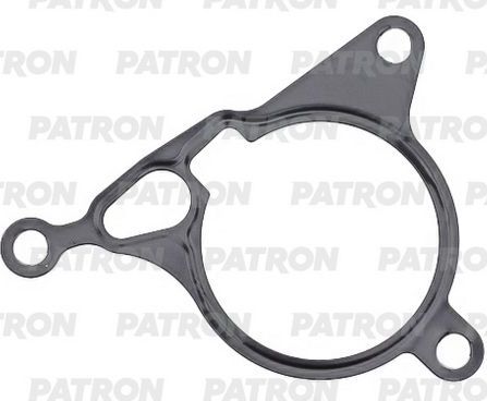 Прокладка вакуумного насоса Patron. Артикул PG3-0069