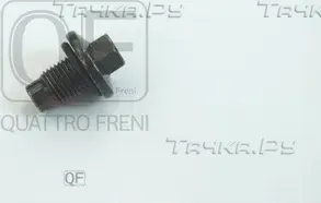 Пробка масляного поддона с кольцом (Quattro Freni). Артикул QF54A00077