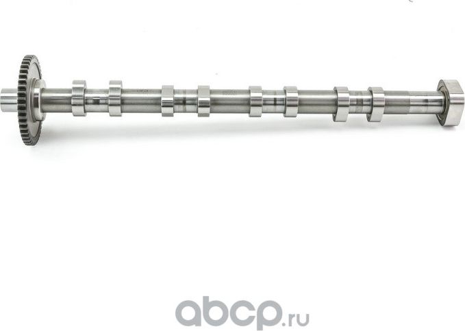 Распредвал (Dominant) Dominant. Артикул AW06H01090022L