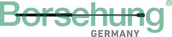 Амортизатор (упор) капота Borsehung. Артикул B13096