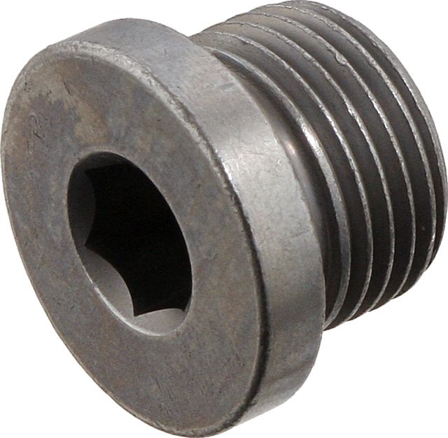 Сливная пробка масляного поддона двигателя Febi Bilstein для BMW X5 I (E53) 2003-2006. Артикул 31702