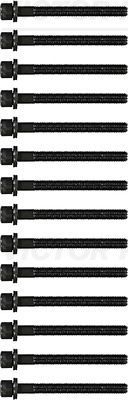 Комплект болтов ГБЦ Victor Reinz. Артикул 14-32047-03