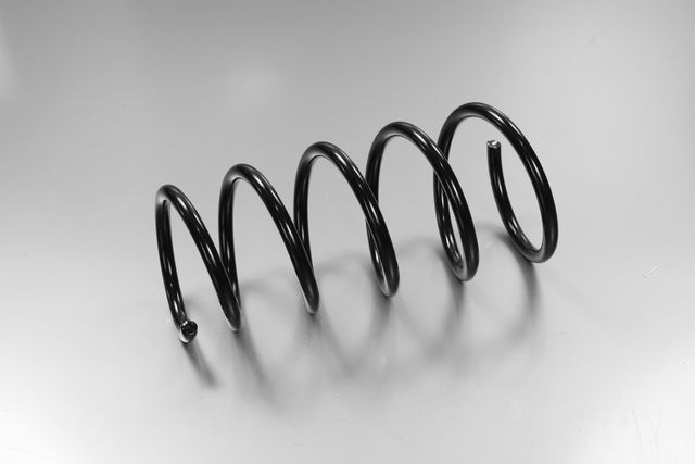 Пружина подвески Fenox. Артикул SPR17011