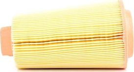 Воздушный фильтр BSG. Артикул BSG 60-135-007