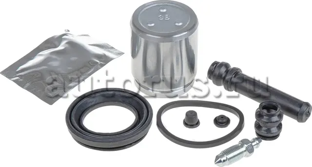 Ремкомплект тормозного суппорта с поршнем заднего (Ganz). Артикул GIJ19091