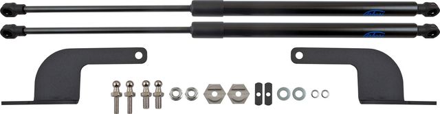 Амортизаторы (упоры) капота Arbori для Evolute i-Pro 2022-2026. Артикул ARBORI.HD.062101