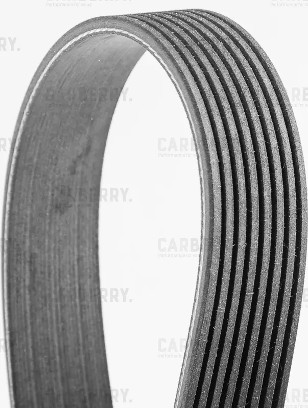 Ремень поликлиновой CARBERRY Carberry. Артикул 8PK2410